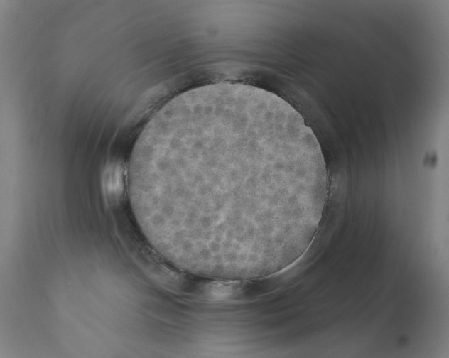 X0000111520094200908111213