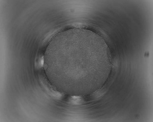 X0000111520095200908111213