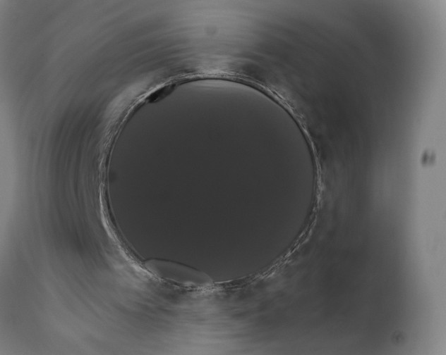 X0000111520097200908111212