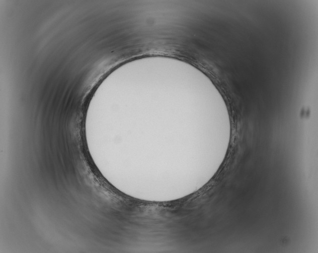 X0000111520098200908111212