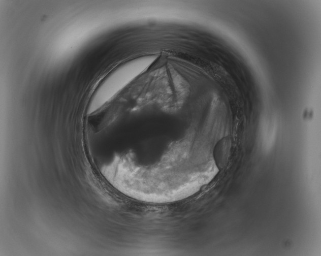X0000111520099200908111212