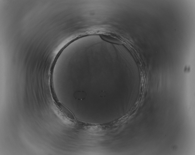 X0000111520100200908111212