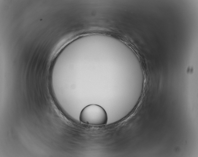 X0000111520101200908111212