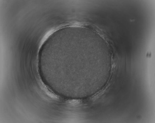 X0000111520102200908111212