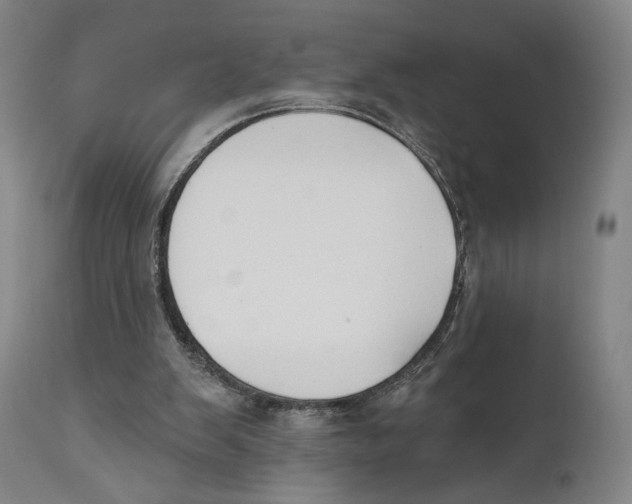 X0000111520103200908111212