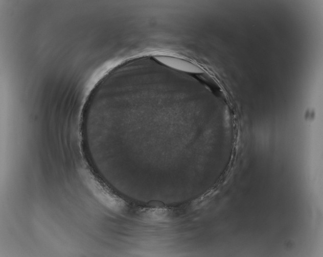 X0000111520104200908111212