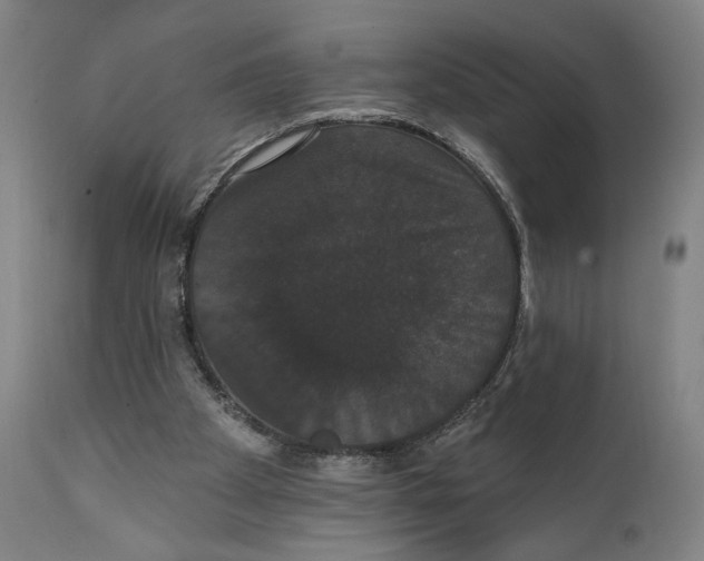 X0000111520105200908111212