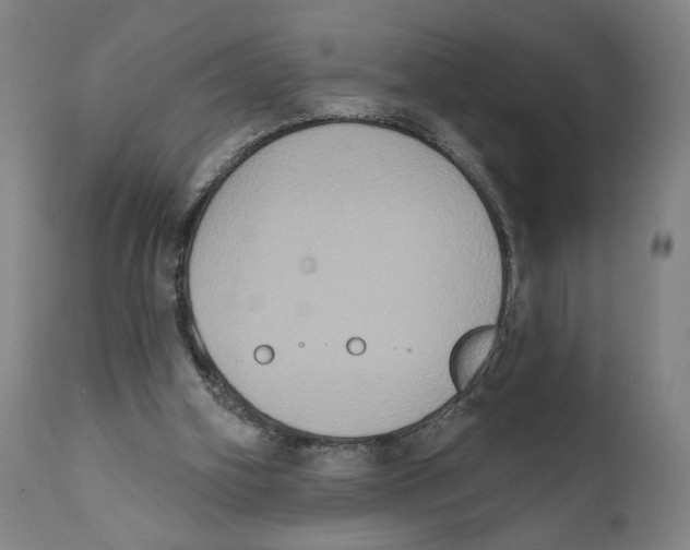 X0000111520106200908111212