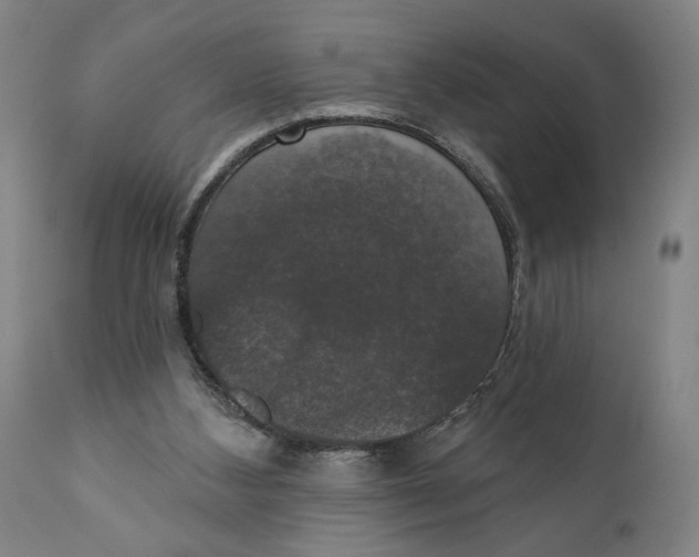 X0000111520108200908111212
