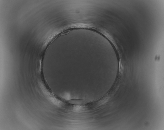 X0000111520109200908111212