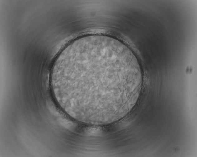 X0000111520110200908111212