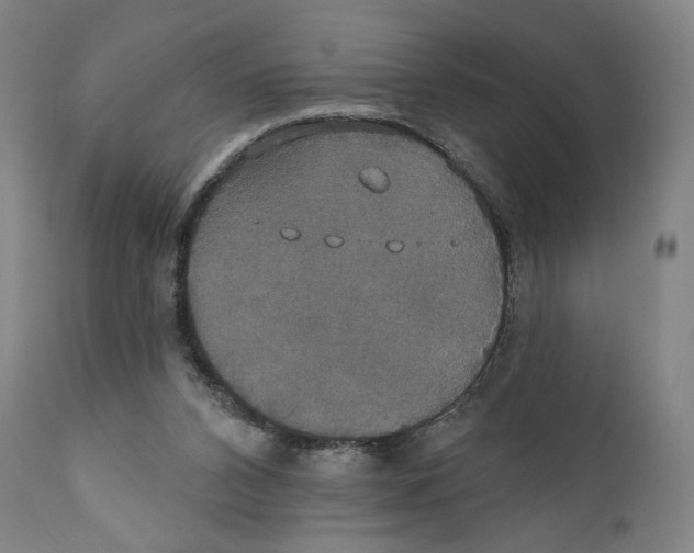 X0000111520112200908111212