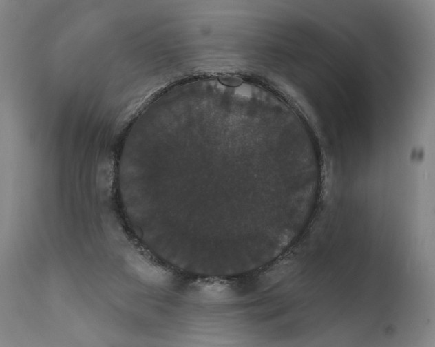 X0000111520113200908111212