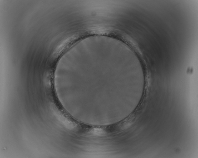 X0000111520114200908111212
