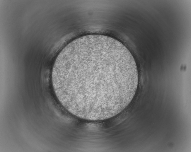 X0000111520115200908111212