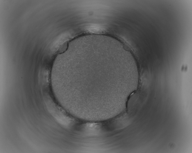 X0000111520117200908111212