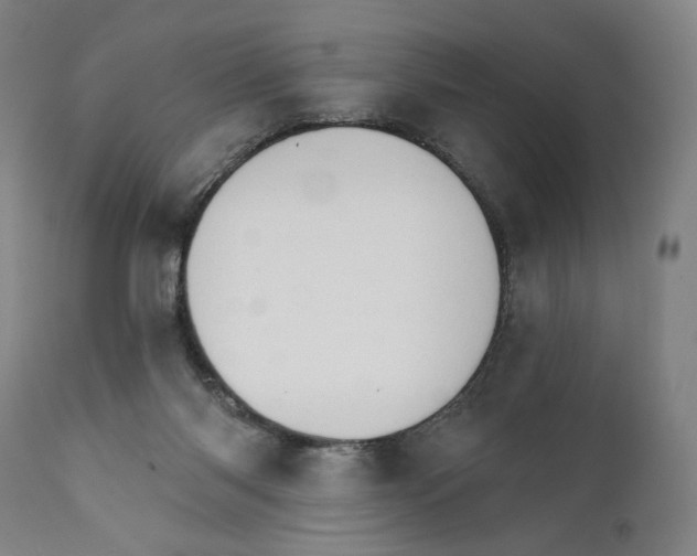 X0000111520118200908111212