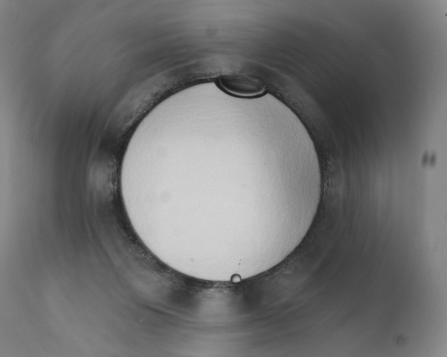 X0000111520119200908111212