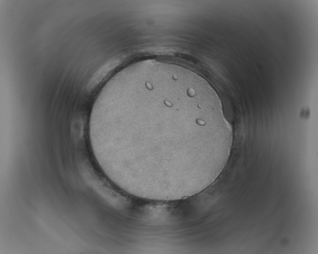 X0000111520120200908111212