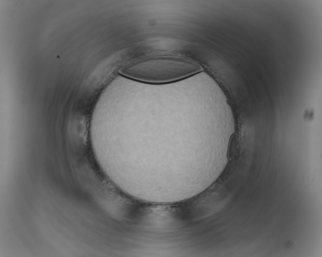 X0000111520121200908111212