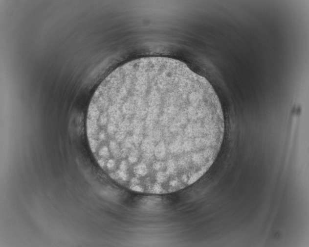 X0000111520123200908111212