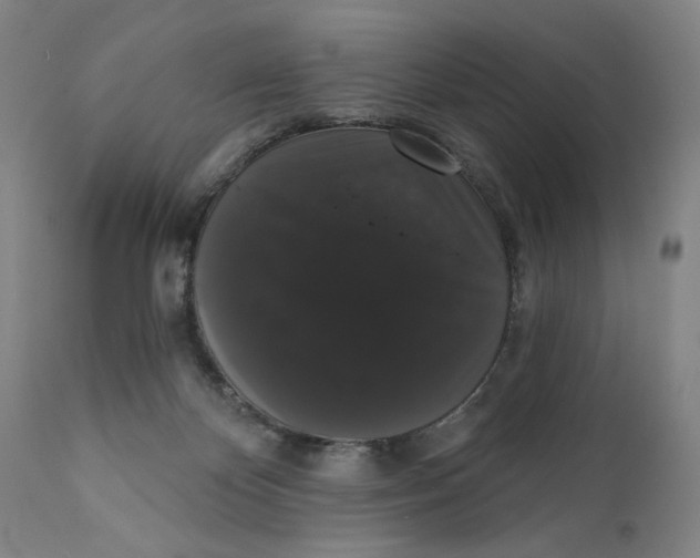 X0000111520124200908111212