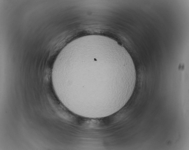 X0000111520125200908111212