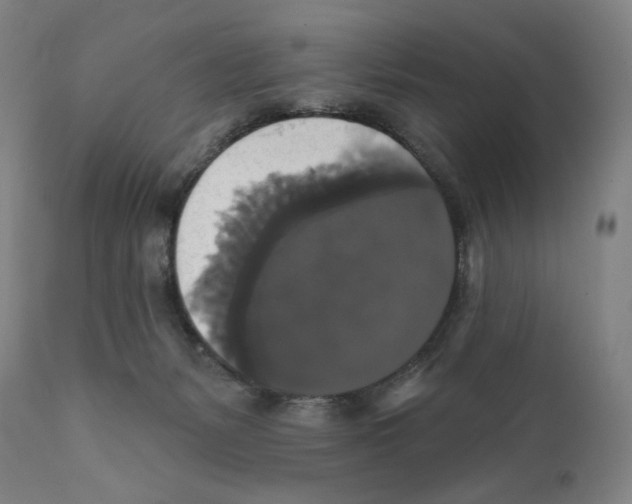X0000111520127200908111212