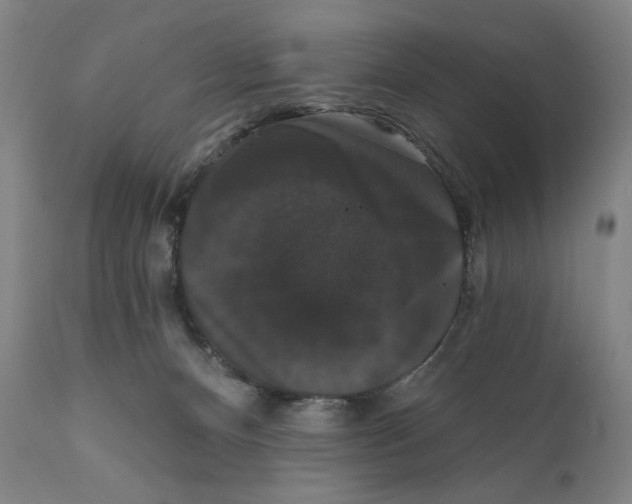 X0000111520128200908111212