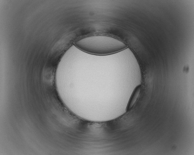 X0000111520129200908111212