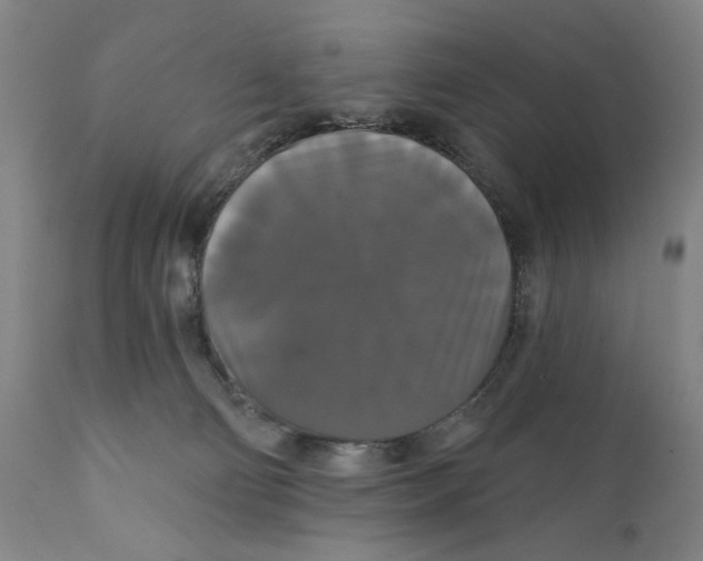X0000111520130200908111212
