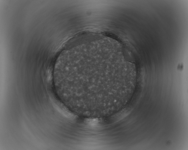 X0000111520131200908111212