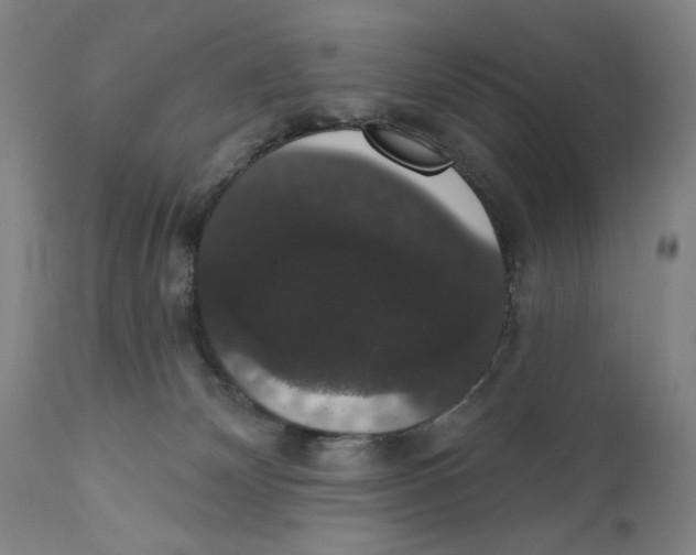 X0000111520132200908111212