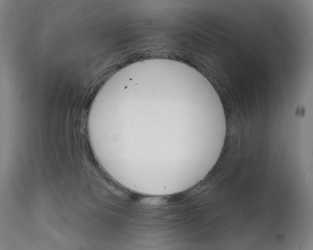 X0000111520133200908111211