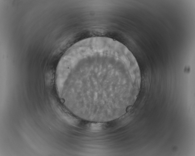 X0000111520134200908111211
