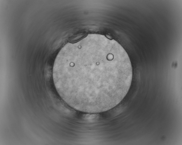 X0000111520135200908111211