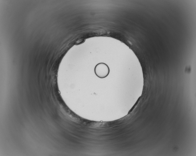X0000111520136200908111211