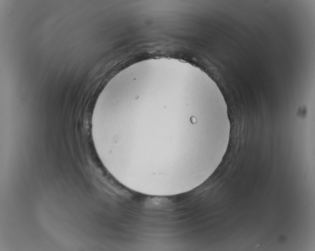 X0000111520137200908111211