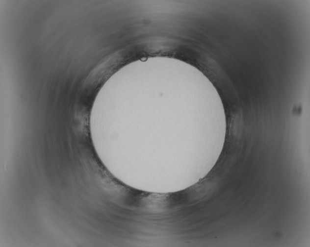 X0000111520138200908111211