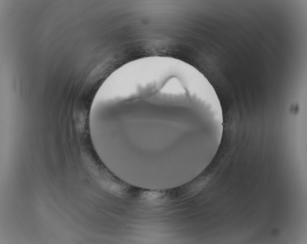 X0000111520139200908111211