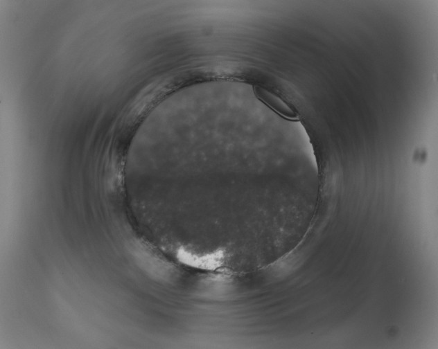 X0000111520140200908111211
