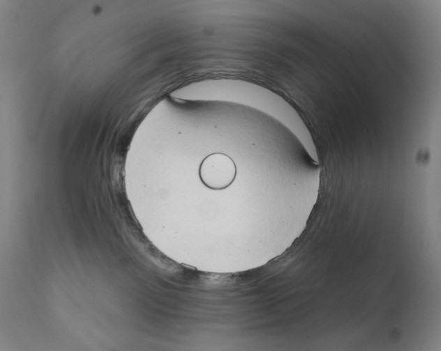 X0000111520141200908111211