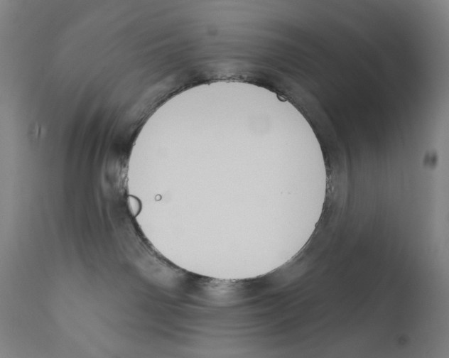 X0000111520142200908111211