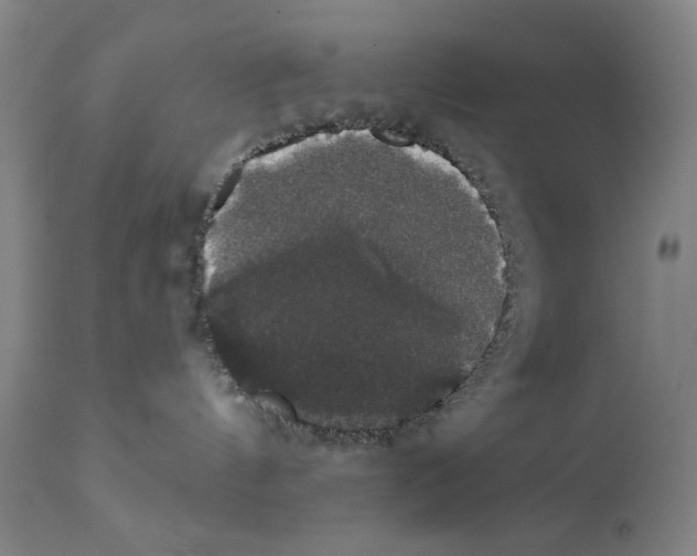 X0000111520144200908111211