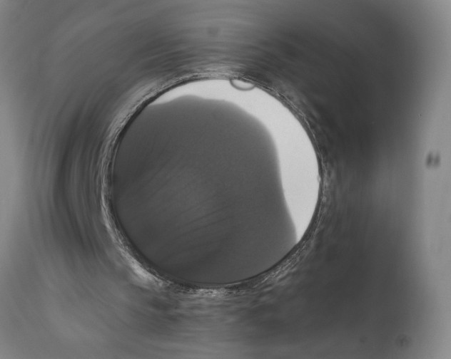X0000111520145200908111210