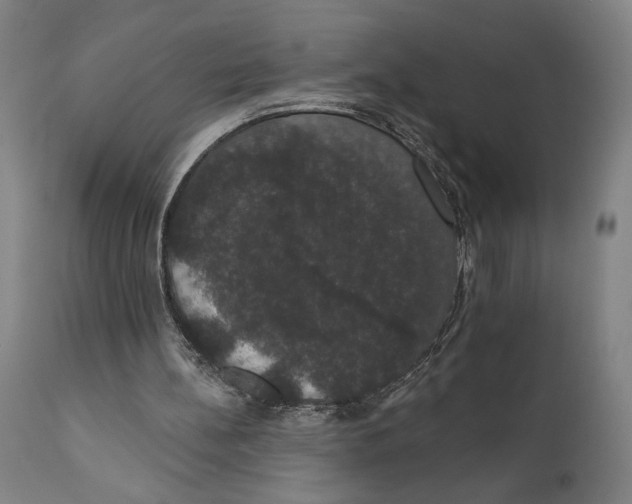 X0000111520148200908111210