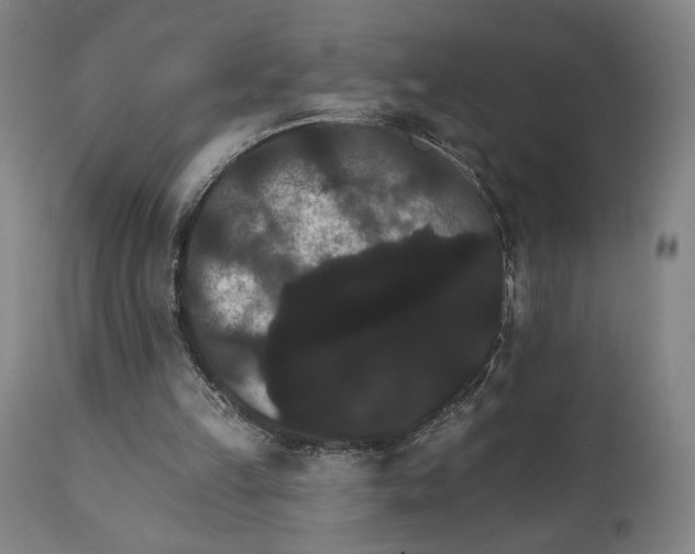 X0000111520149200908111210