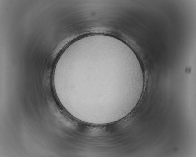 X0000111520155200908111210