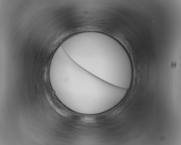 X0000111520157200908111211