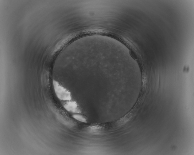 X0000111520158200908111211